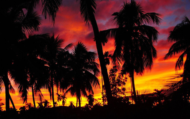 一张美味的图片 &middot; #2400