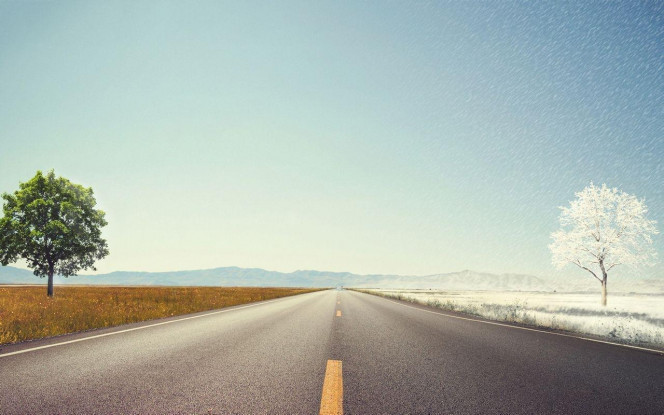 一张美味的图片 &middot; #4287