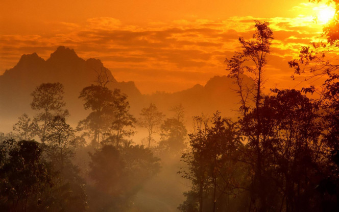 一张美味的图片 &middot; #1453