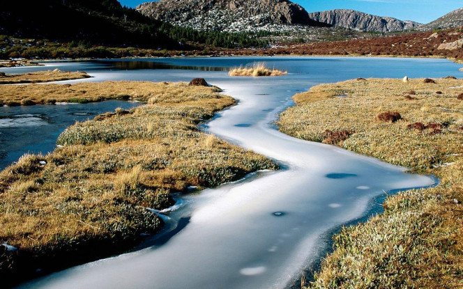 一张美味的图片 &middot; #3584