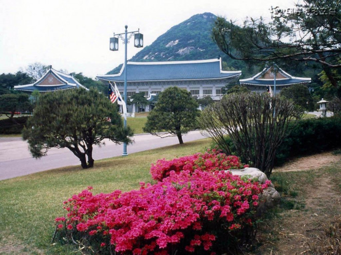 一张美味的图片 &middot; #924