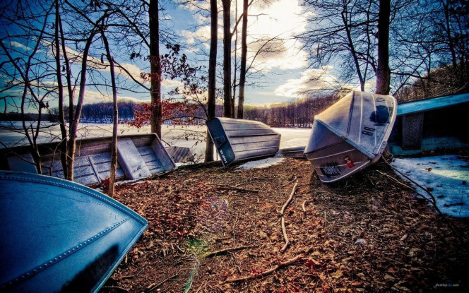 一张美味的图片 &middot; #3046