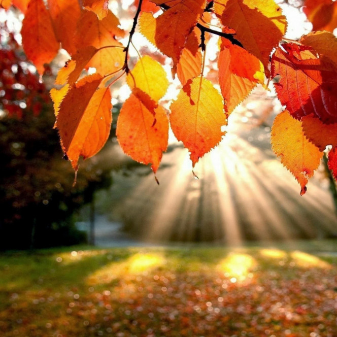 一张美味的图片 &middot; #2367