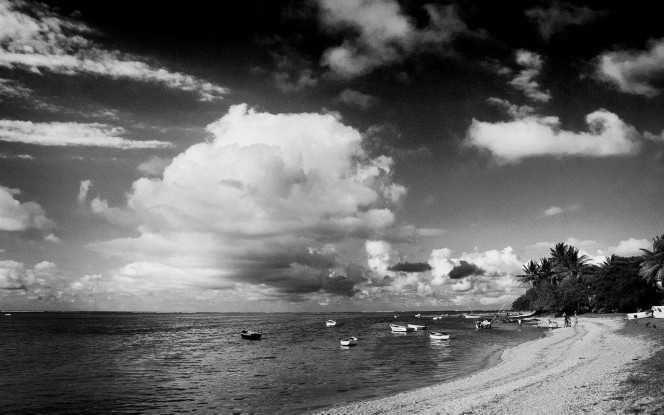 一张美味的图片 &middot; #2123