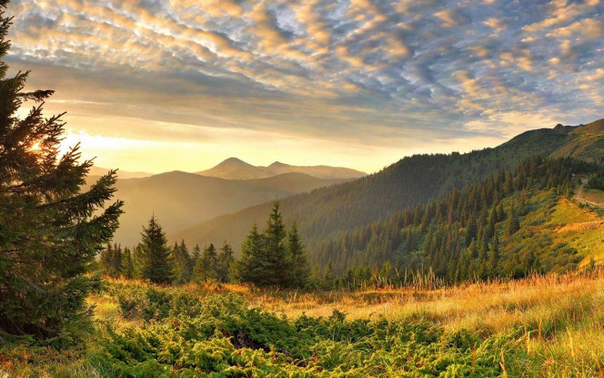 一张美味的图片 &middot; #4398