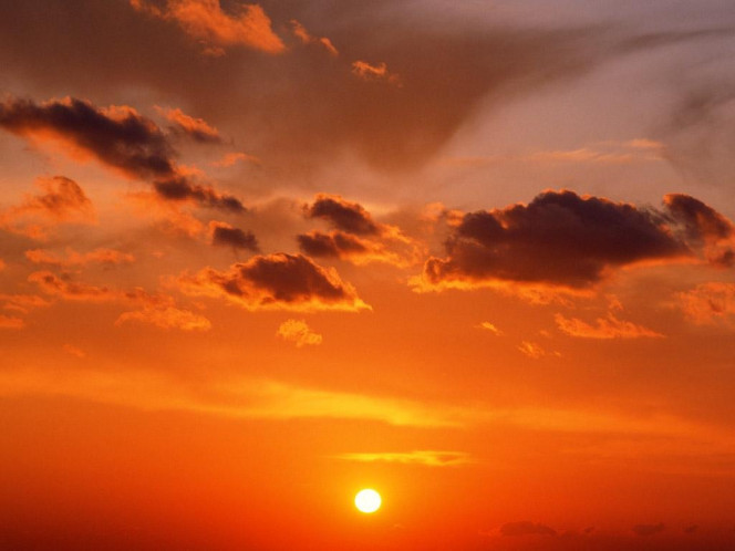 一张美味的图片 &middot; #881