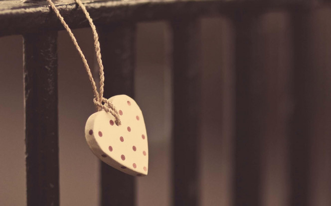 一张美味的图片 &middot; #1749