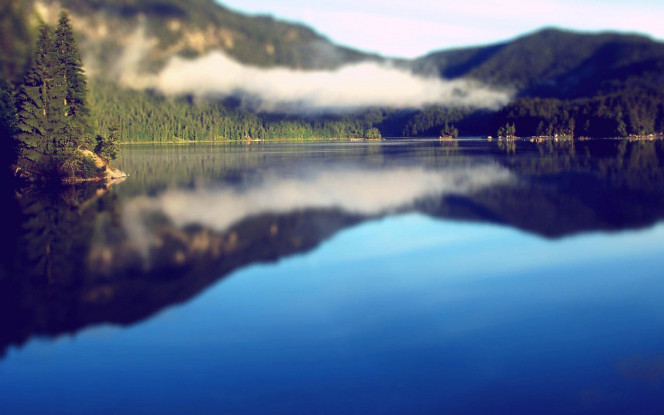 一张美味的图片 &middot; #3612