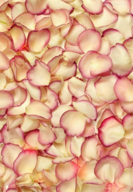 一张美味的图片 &middot; #236