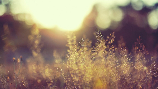 一张美味的图片 &middot; #3573