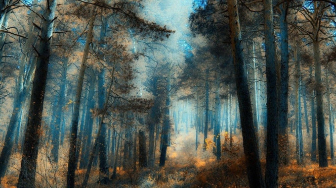 一张美味的图片 &middot; #2280