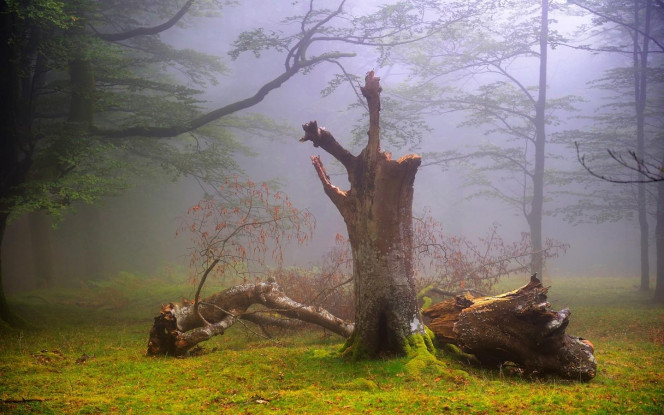 一张美味的图片 &middot; #3223