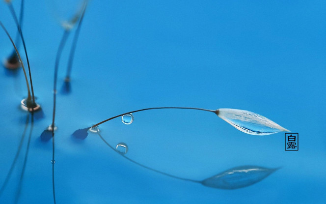 一张美味的图片 &middot; #1812