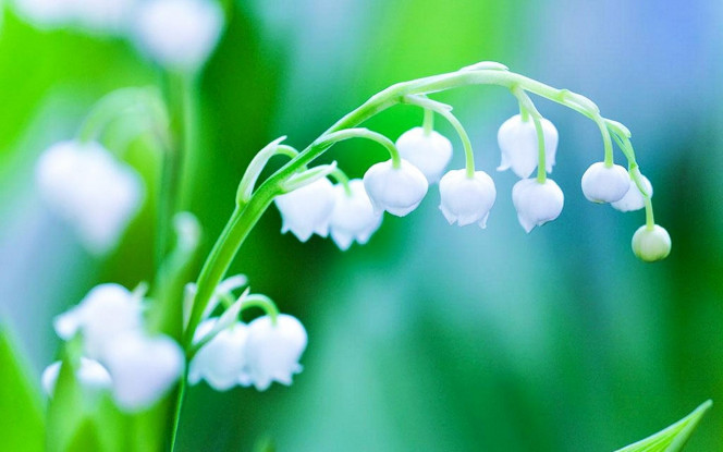 一张美味的图片 &middot; #3592