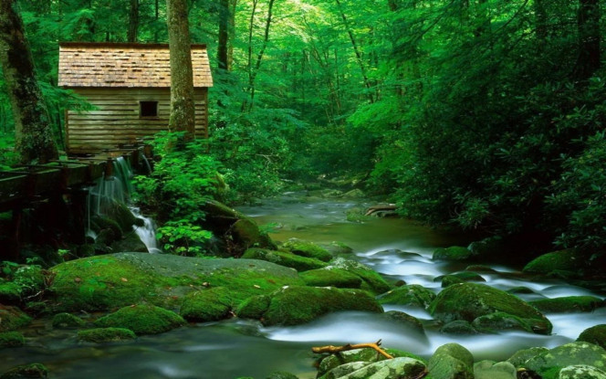 一张美味的图片 &middot; #2741