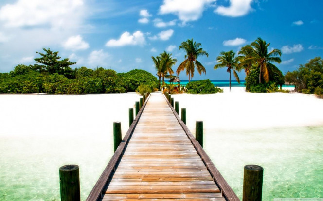 一张美味的图片 &middot; #3153