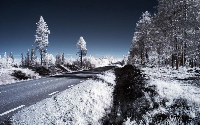 一张美味的图片 &middot; #1995