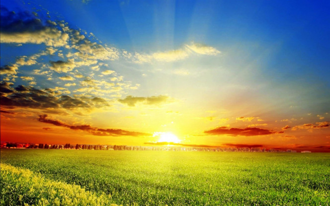 一张美味的图片 &middot; #4385