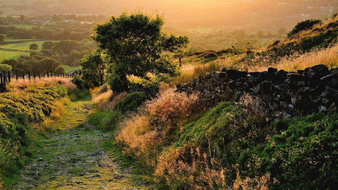 一张美味的图片 &middot; #4243