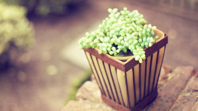 一张美味的图片 &middot; #3467