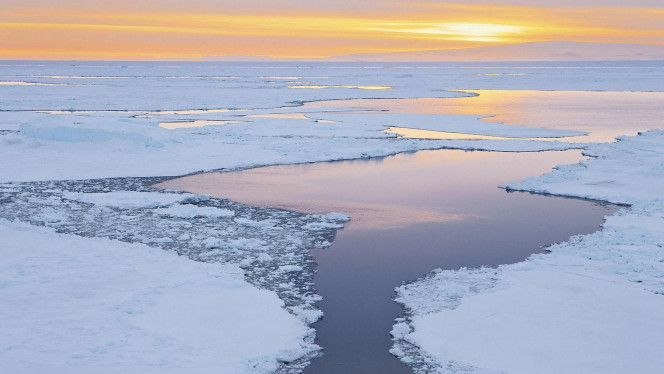 一张美味的图片 &middot; #4544