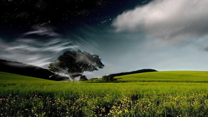 一张美味的图片 &middot; #3904