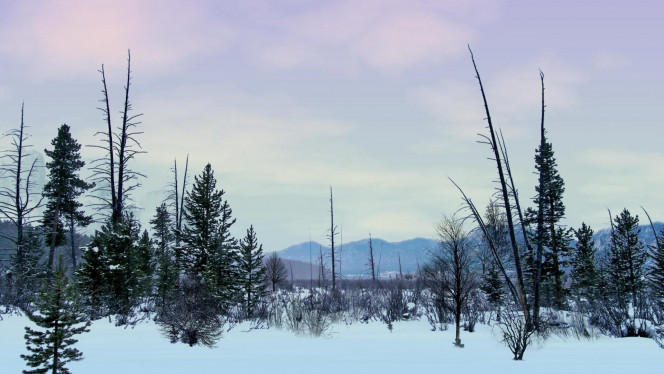 一张美味的图片 &middot; #1977