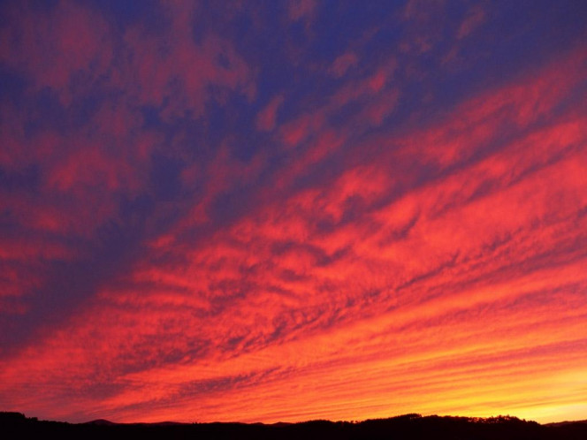 一张美味的图片 &middot; #970