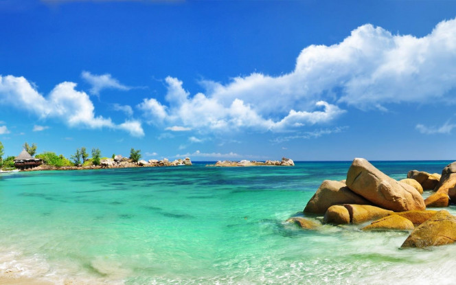 一张美味的图片 &middot; #3107