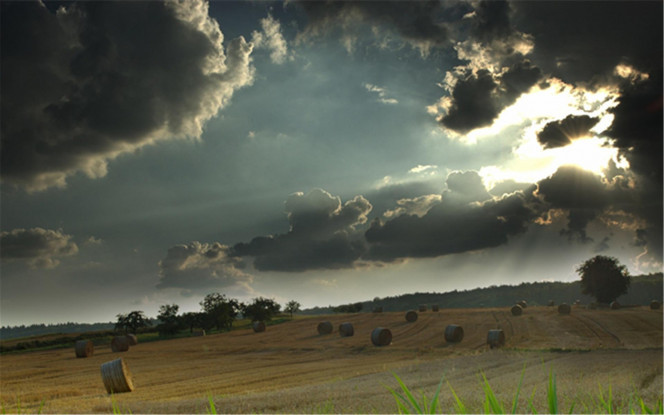 一张美味的图片 &middot; #3343