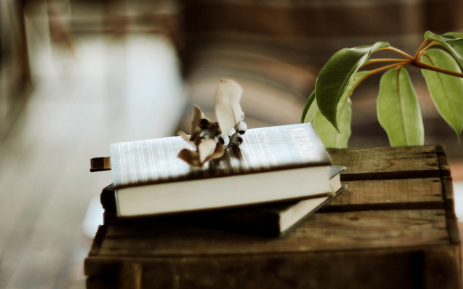 一张美味的图片 &middot; #4306