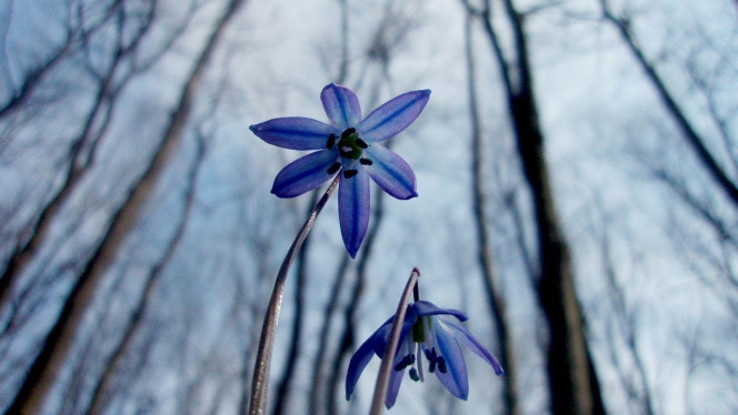 一张美味的图片 &middot; #3021