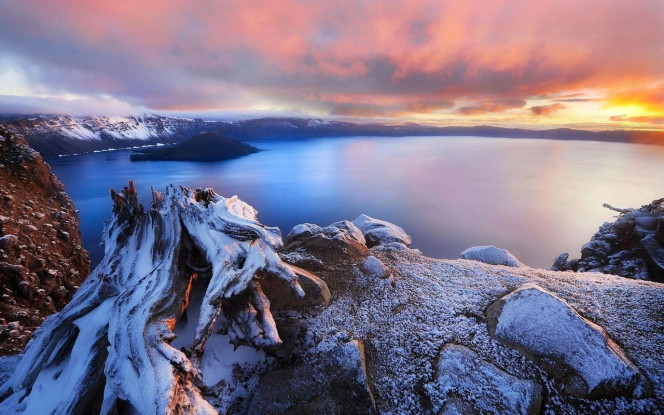 一张美味的图片 &middot; #3249