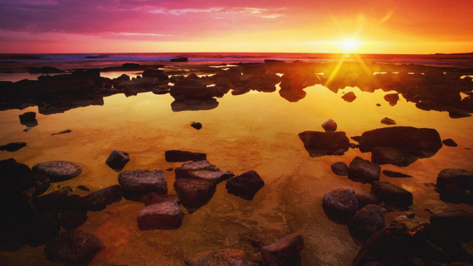 一张美味的图片 &middot; #4311