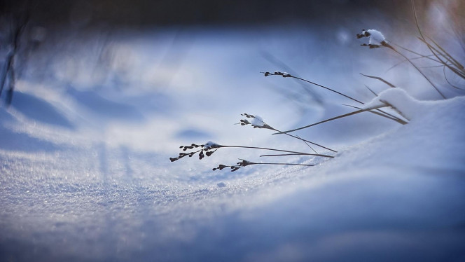 一张美味的图片 &middot; #793