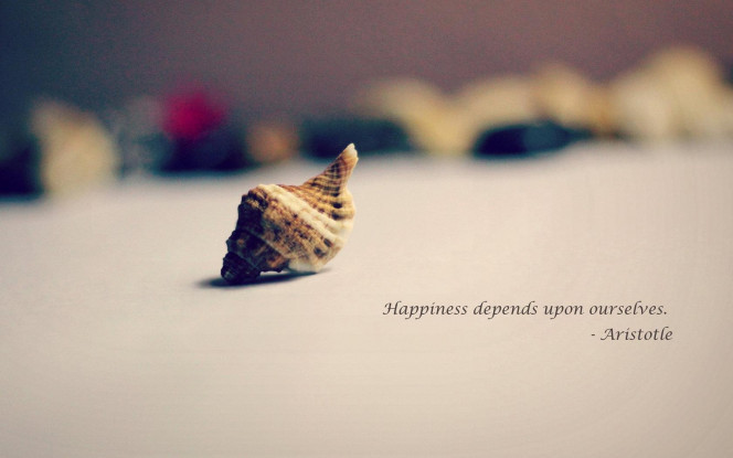 一张美味的图片 &middot; #1903