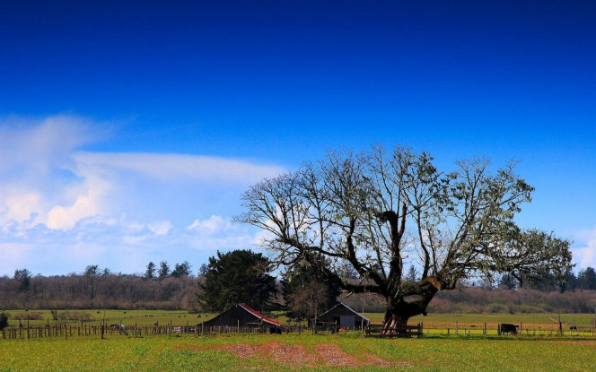 一张美味的图片 &middot; #1591