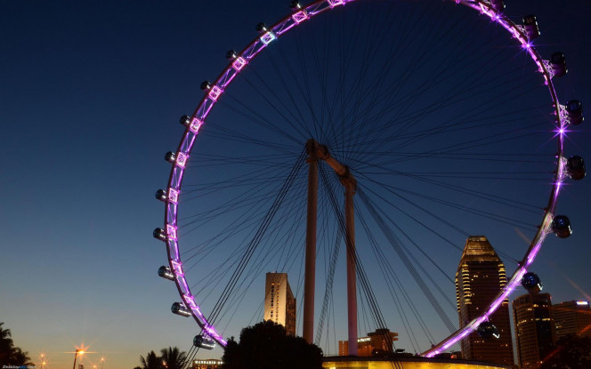 一张美味的图片 &middot; #1864