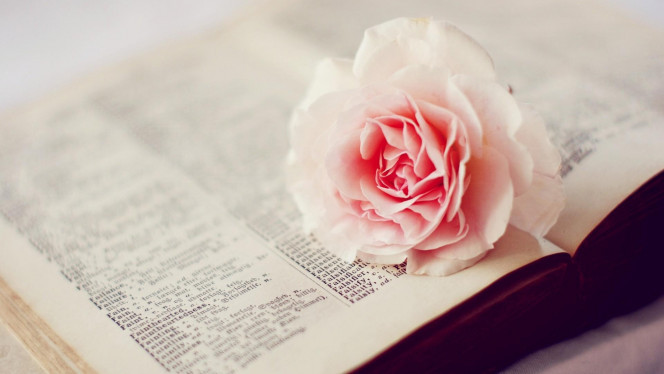 一张美味的图片 &middot; #3445