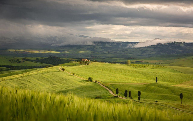 一张美味的图片 &middot; #4088