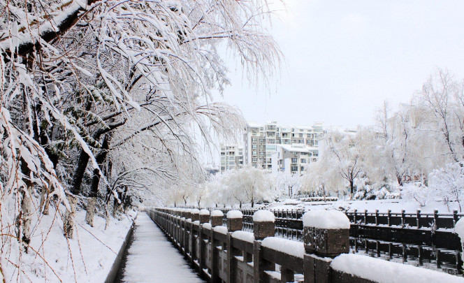 一张美味的图片 &middot; #1412