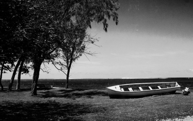 一张美味的图片 &middot; #2153