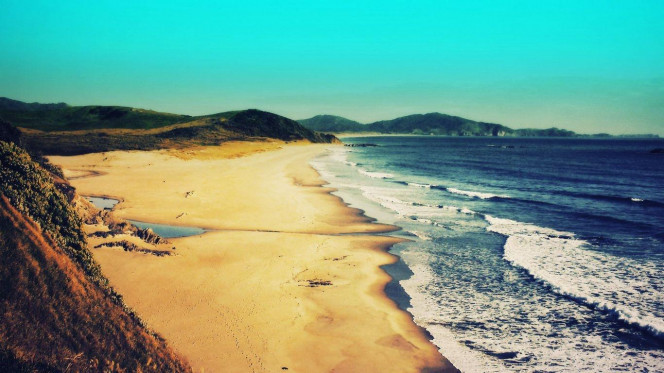 一张美味的图片 &middot; #2545