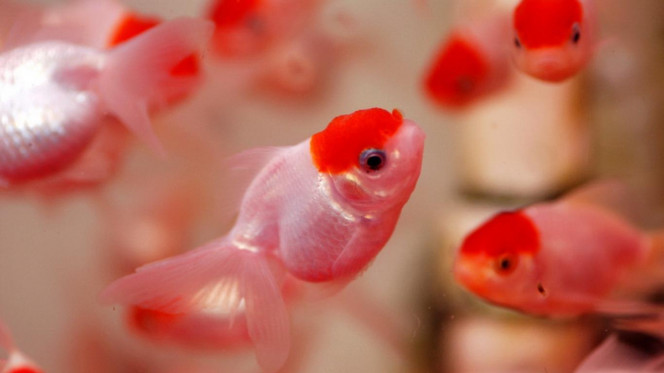 一张美味的图片 &middot; #2861