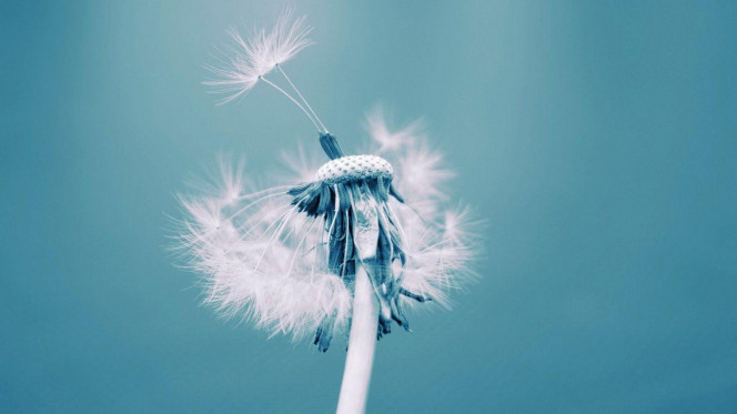 一张美味的图片 &middot; #2638