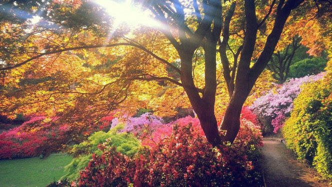 一张美味的图片 &middot; #2915