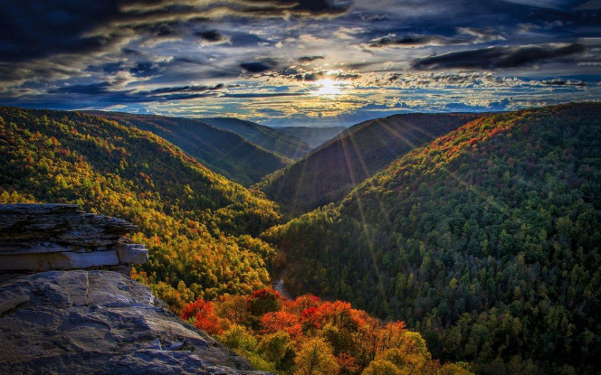 一张美味的图片 &middot; #4352