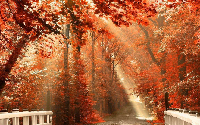 一张美味的图片 &middot; #3971