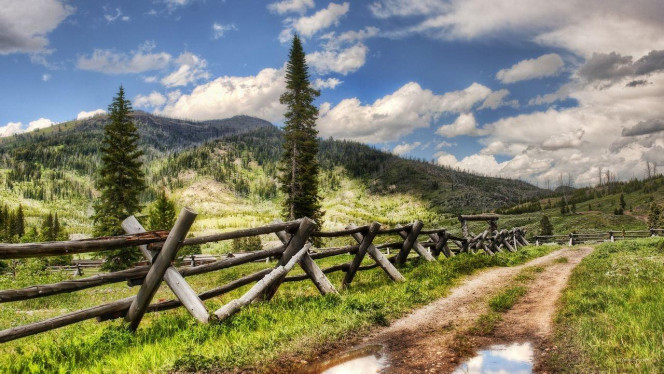 一张美味的图片 &middot; #2320