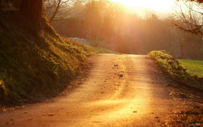 一张美味的图片 &middot; #3951